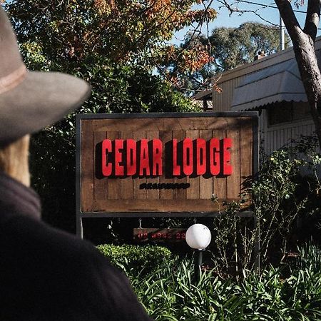 Cedar Lodge Braidwood Eksteriør billede